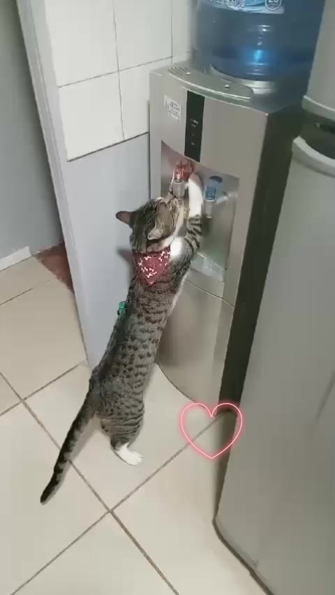 @pitufina 🩵🌹
