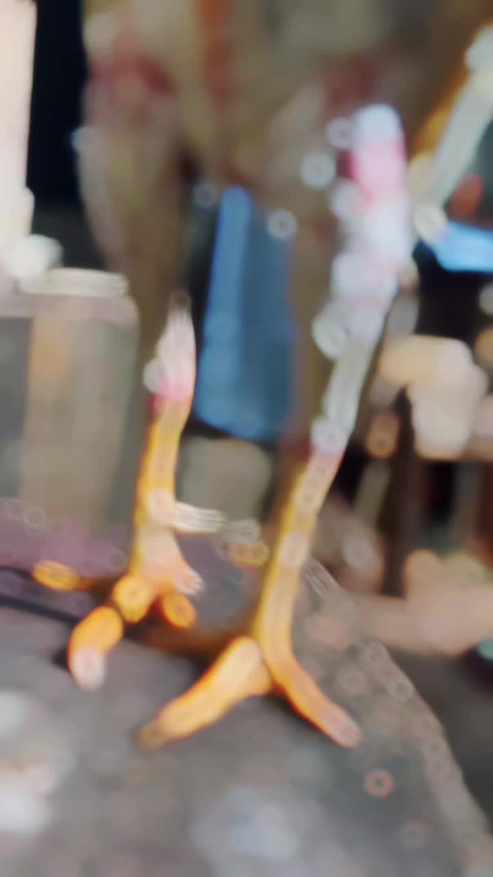 @𝑺𝑯𝑨𝑫𝑶𝑾 ,𝑺