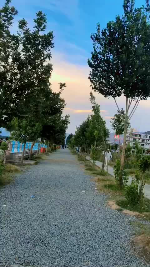 @&Atilde;rif Bacha