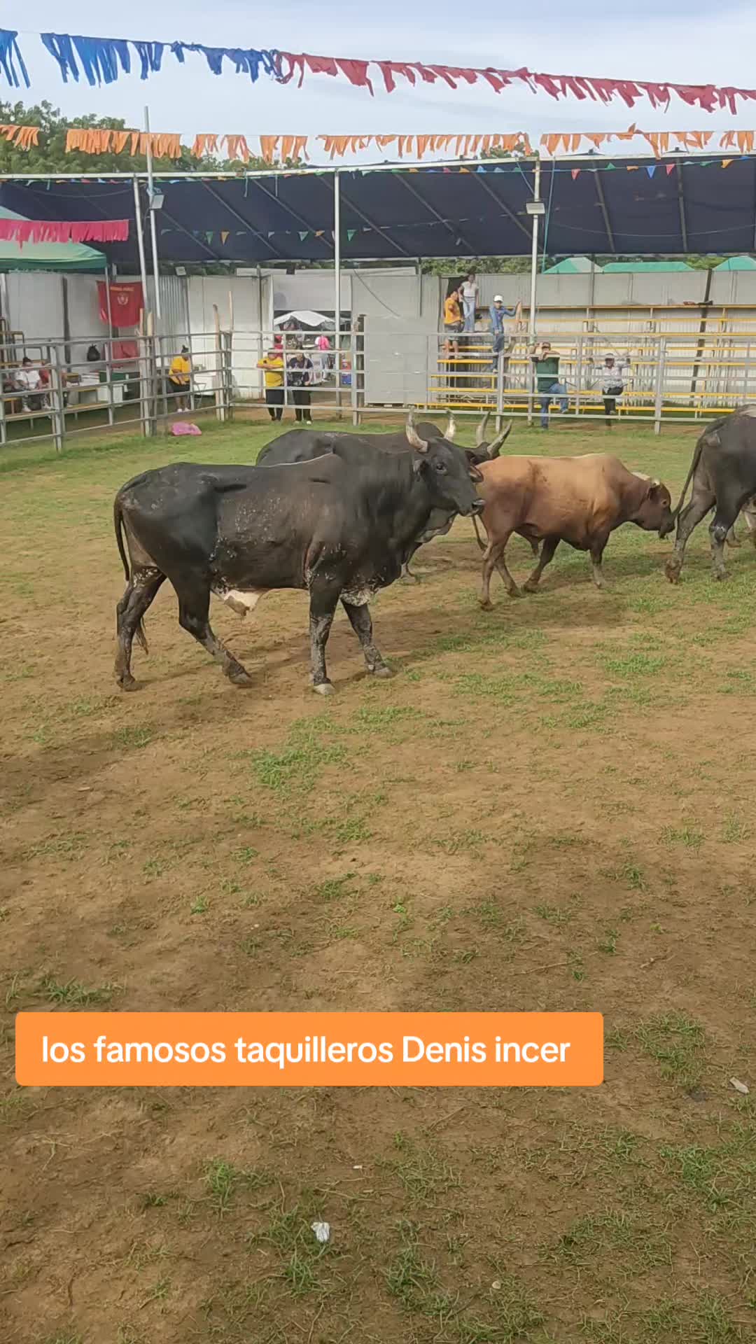 @Julio Alvarez narrador