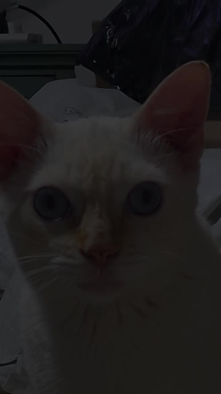 @I L E G