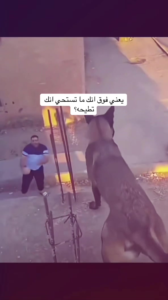 @تكروني زاحف😾.