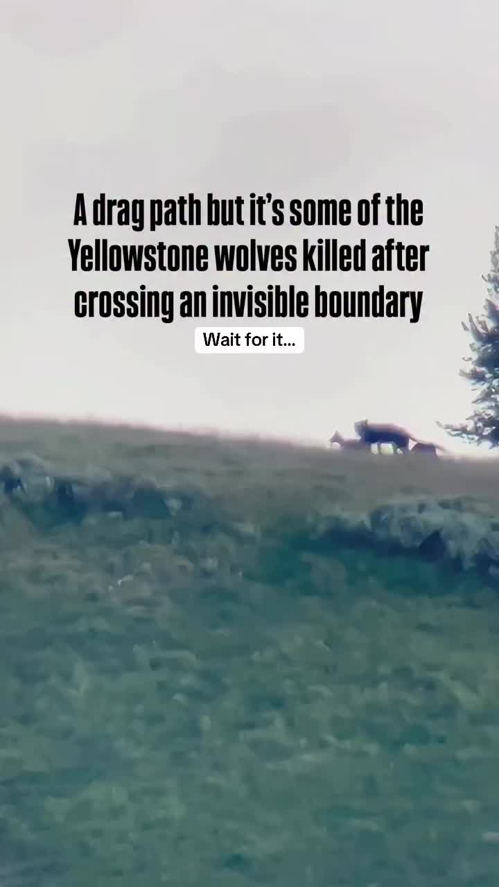 @Taylor in Nature
