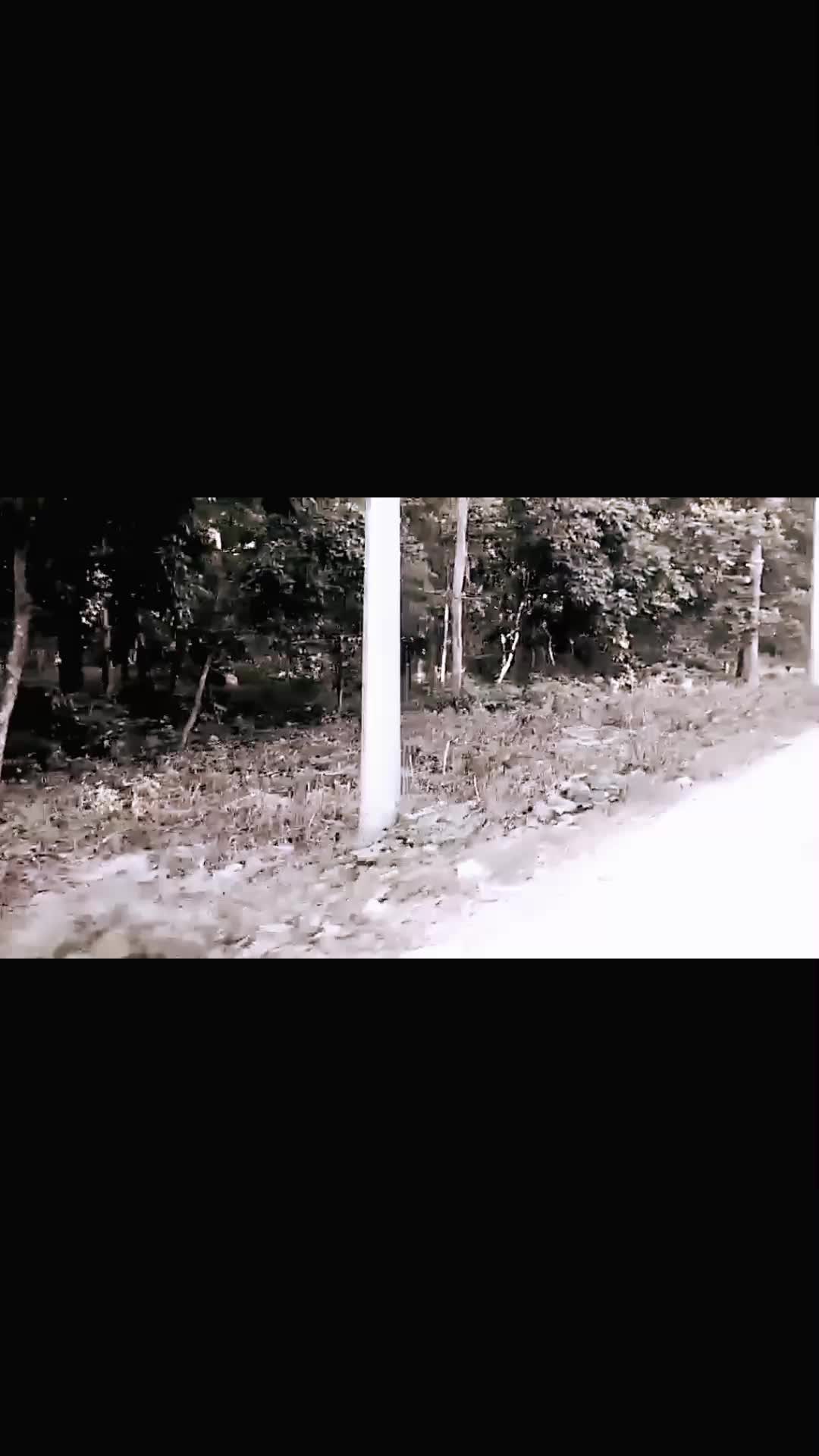 @Bipin Rajbanshi 10