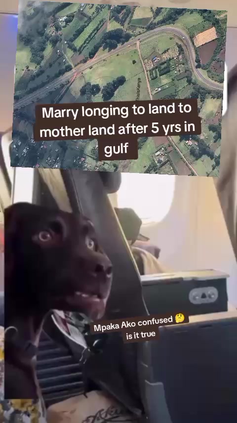 @Mamake Arianah