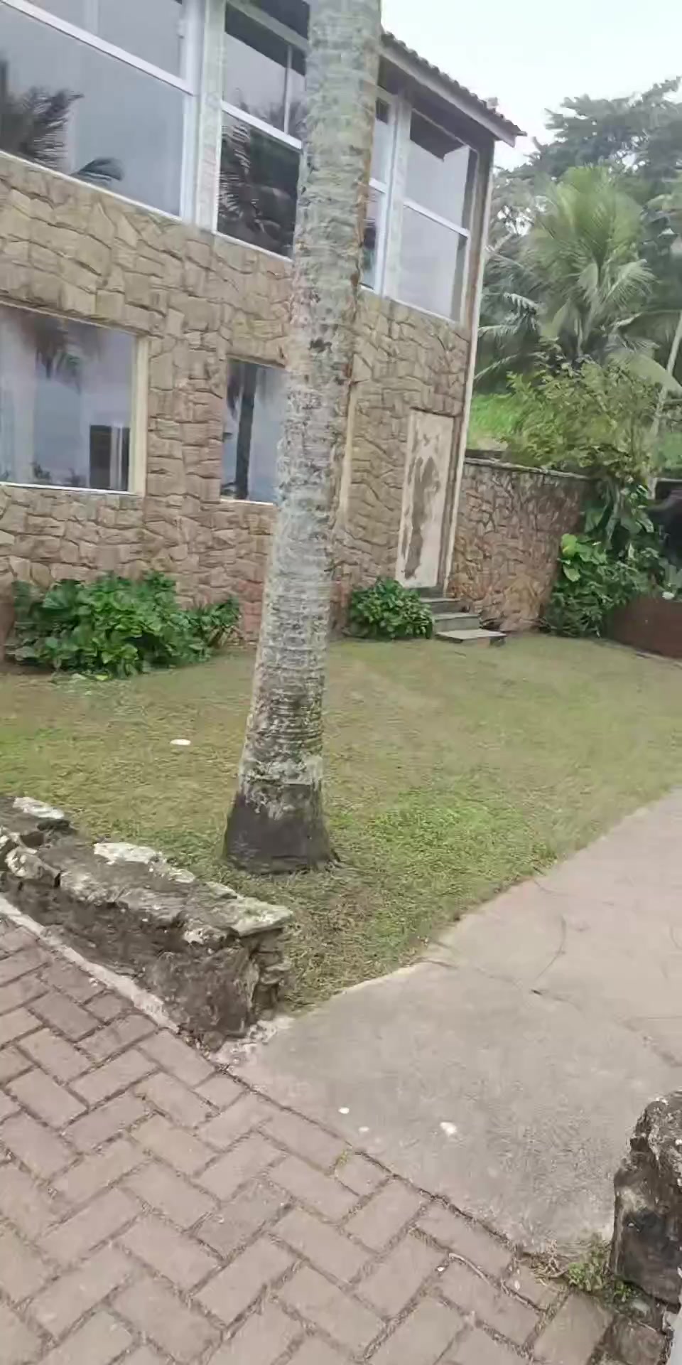 @🦁@ Tá sabendo Itanhaém? 🦁