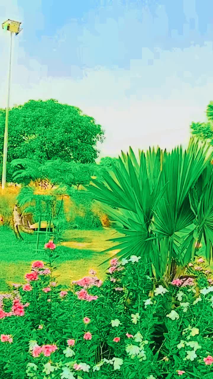 @S.M sameen 098