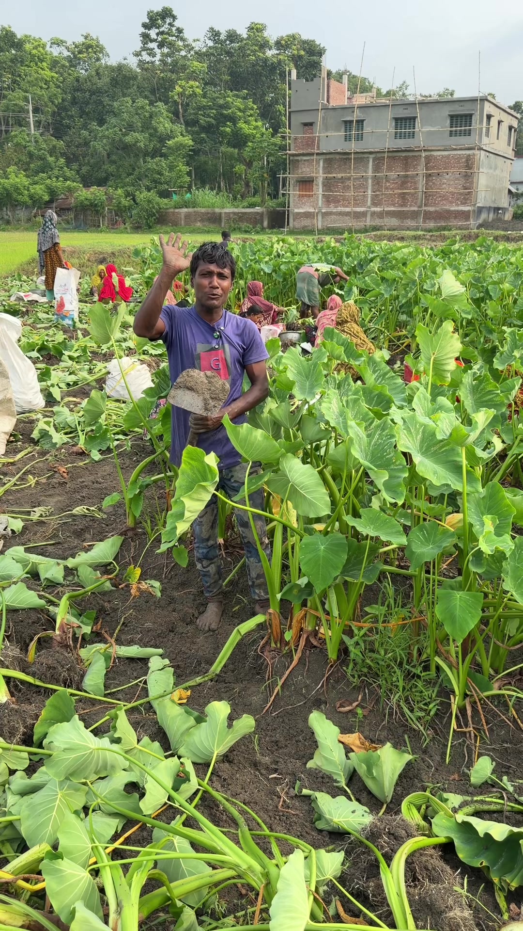 @কৃষি আপডেট