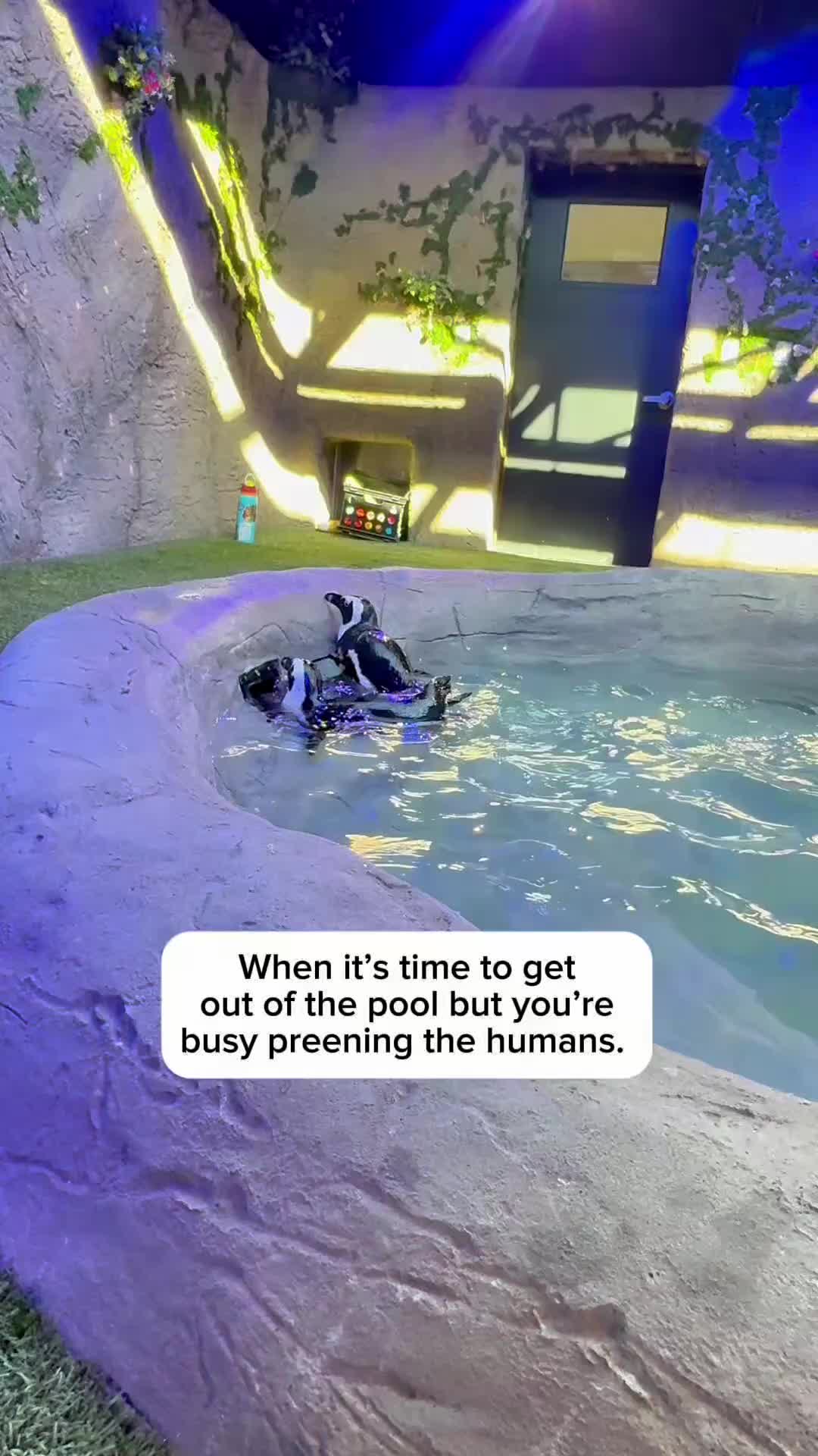 @TanganyikaWildlifePark