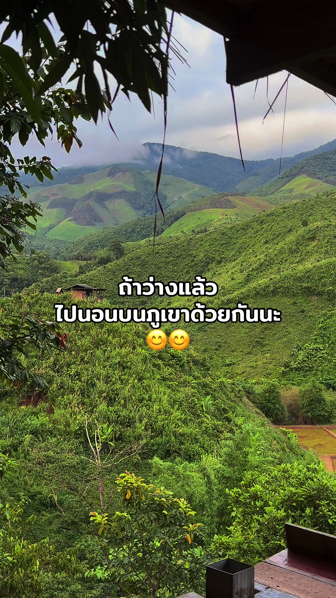 @มะปราง ปลายฟ้า