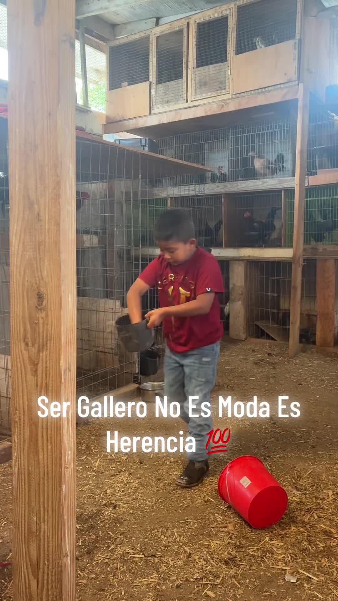 @AleLaToxica24