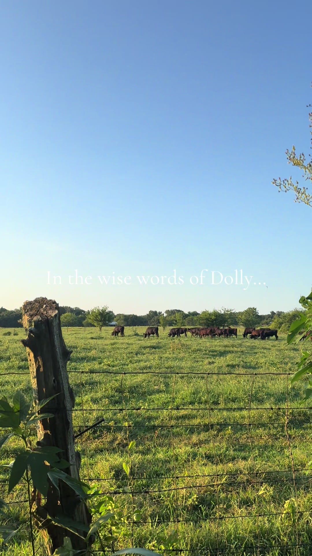 @🌾S&S | Food, Farm, & Family🌾