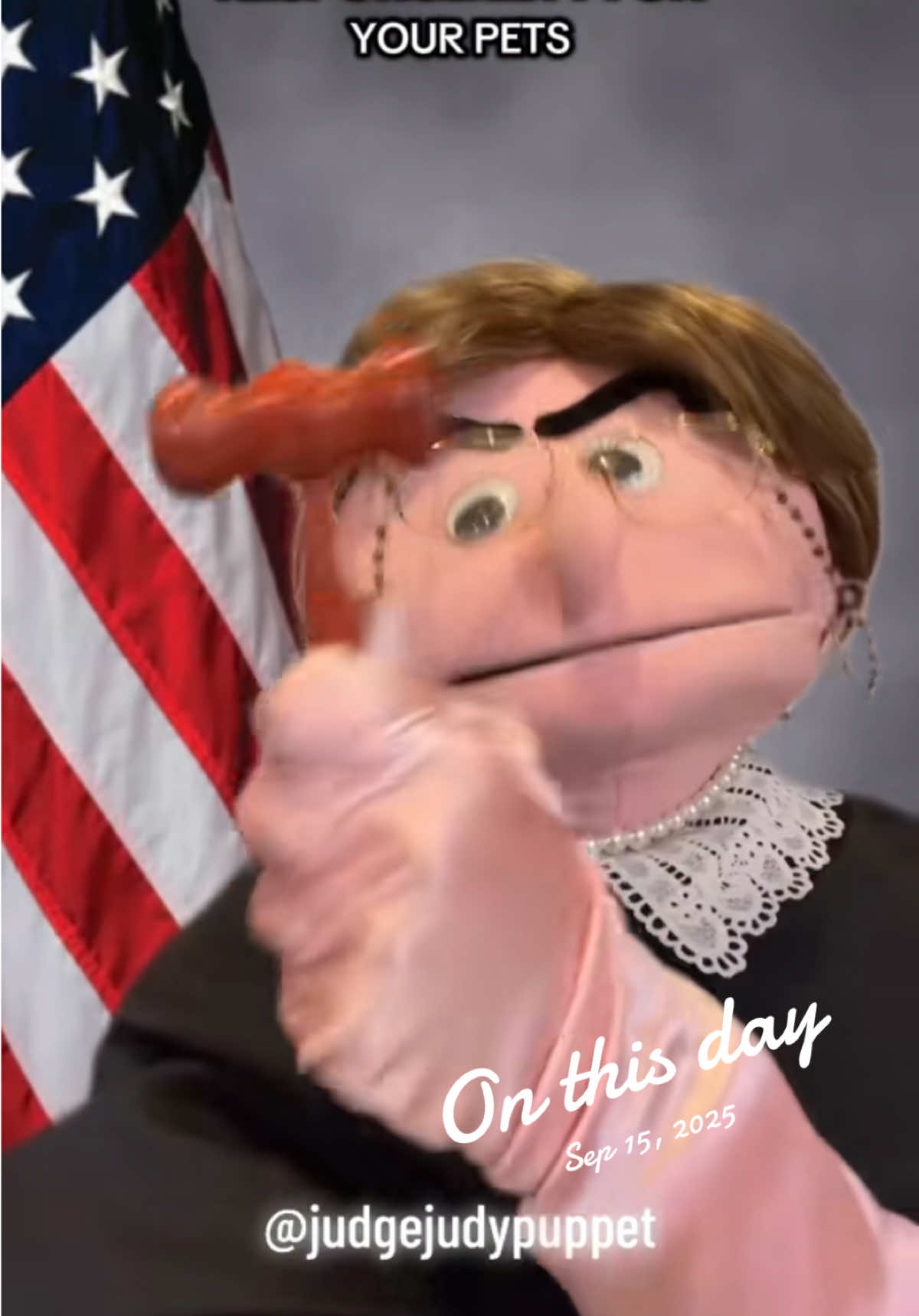 @Judy the Judgey Puppet Show