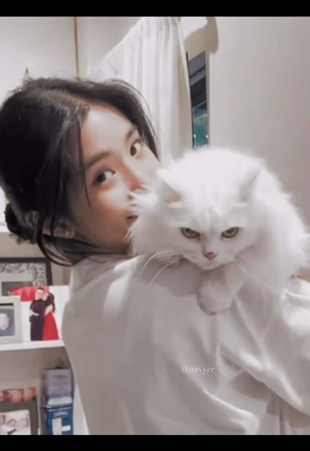 @ivy 𑣲⋆