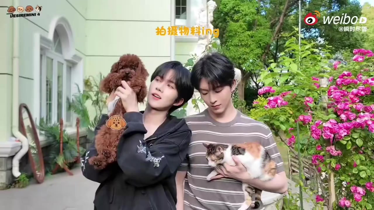 @LinhLinh 龚俊🍊张哲瀚 ❤️051129💙