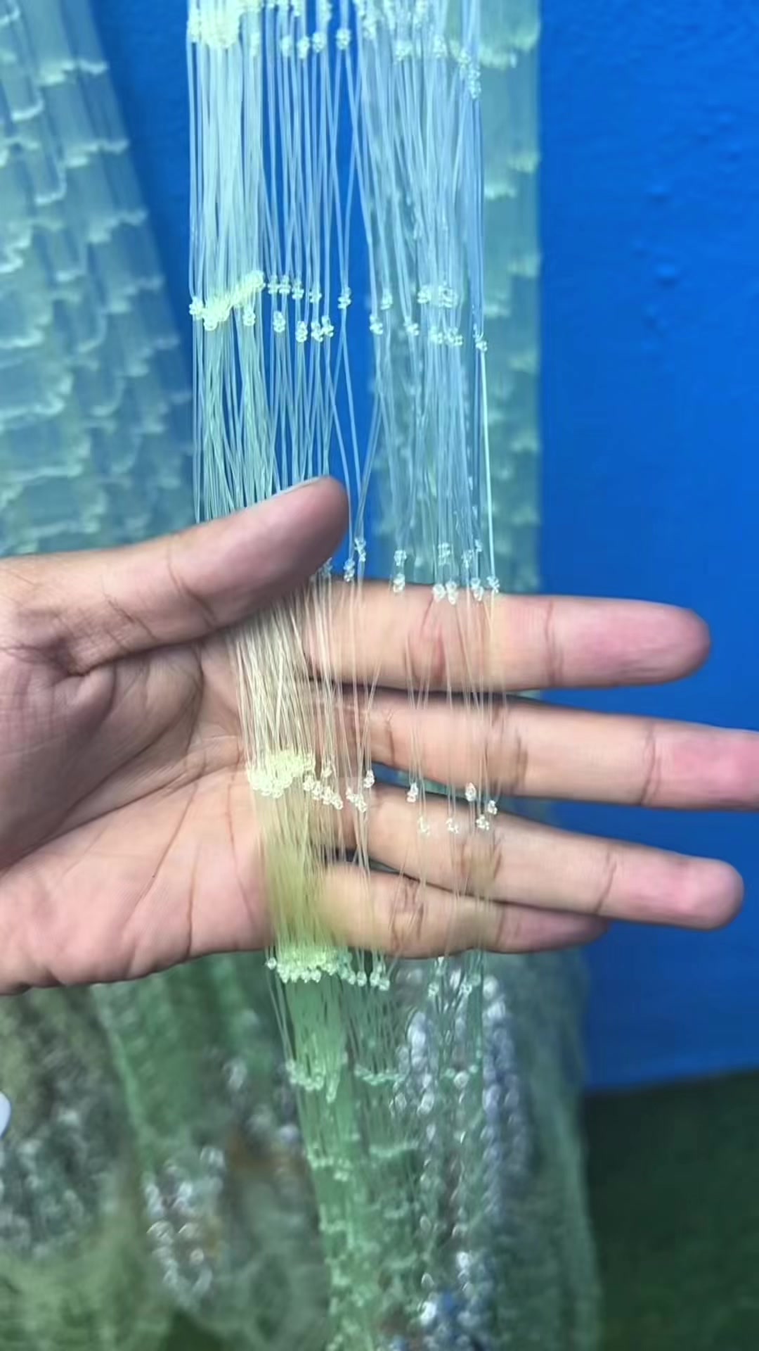 @Fishingtackles