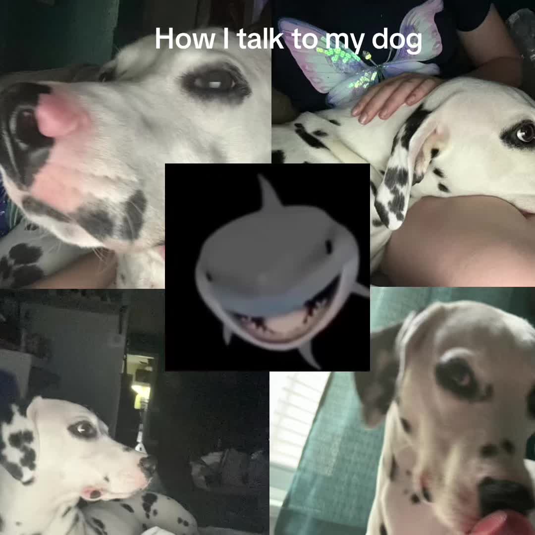 @Silly_Queen