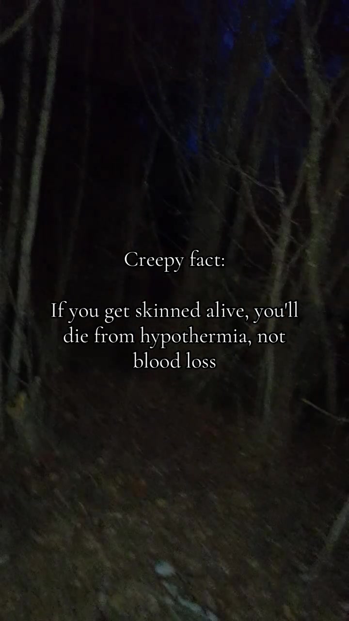 @Horror Fantasies