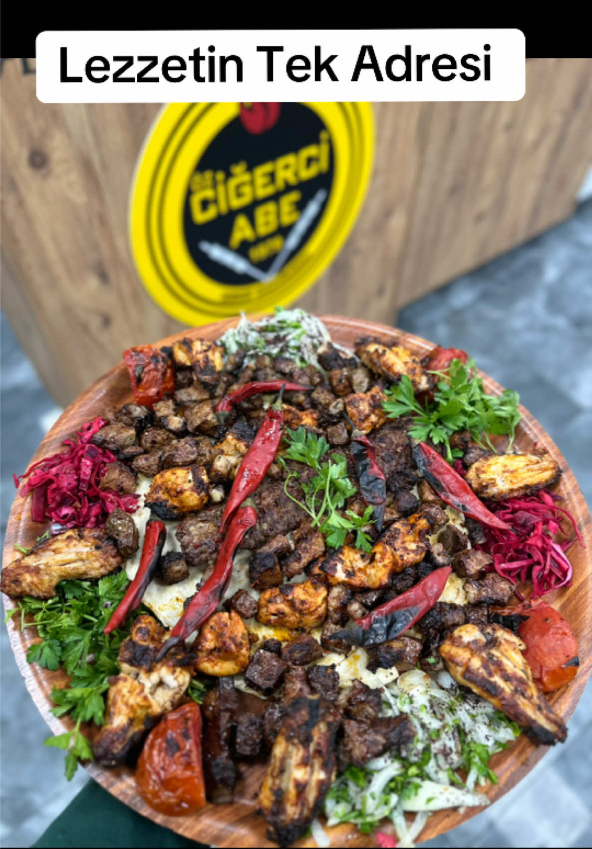 @&Ouml;Z CİĞERCİ-ABEE