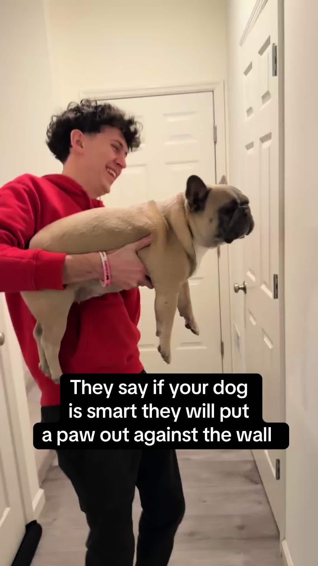 @mavisthefrenchie