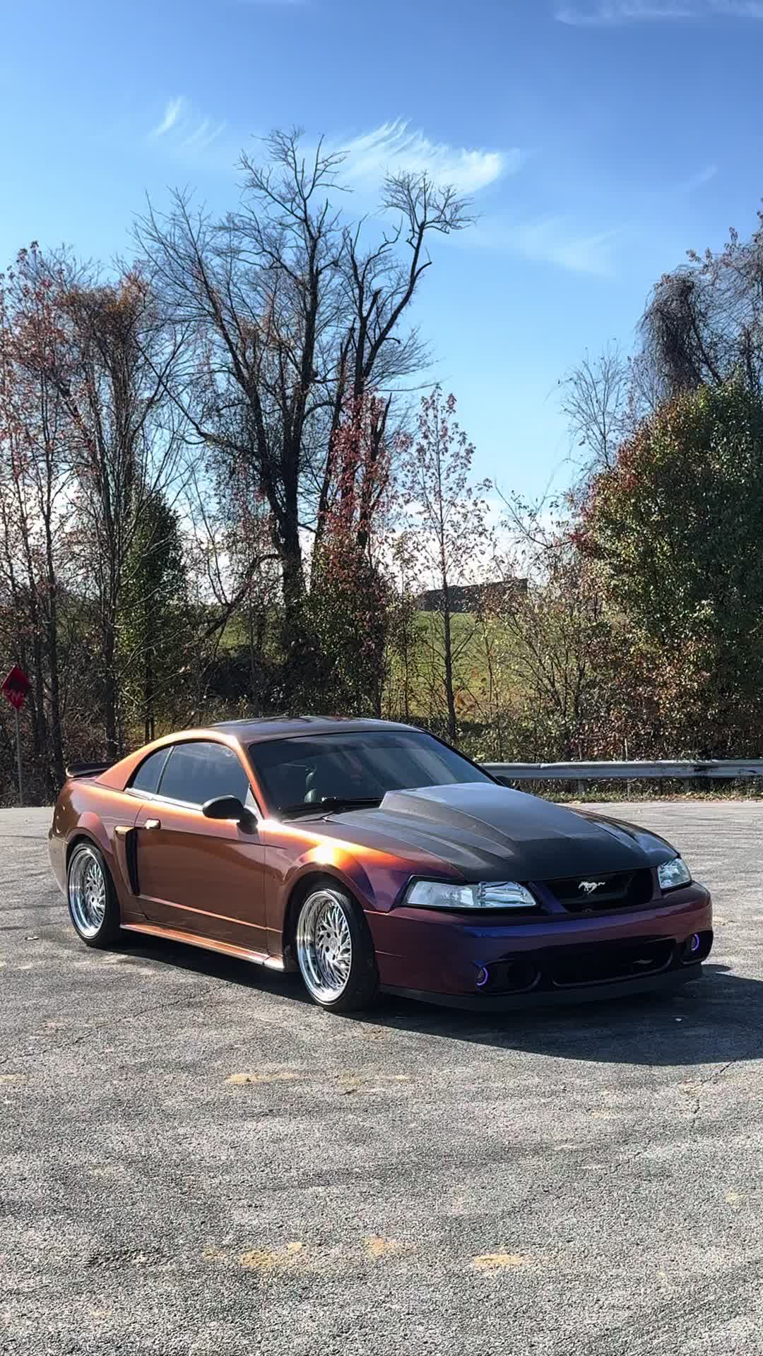 @Midnightpurp2v
