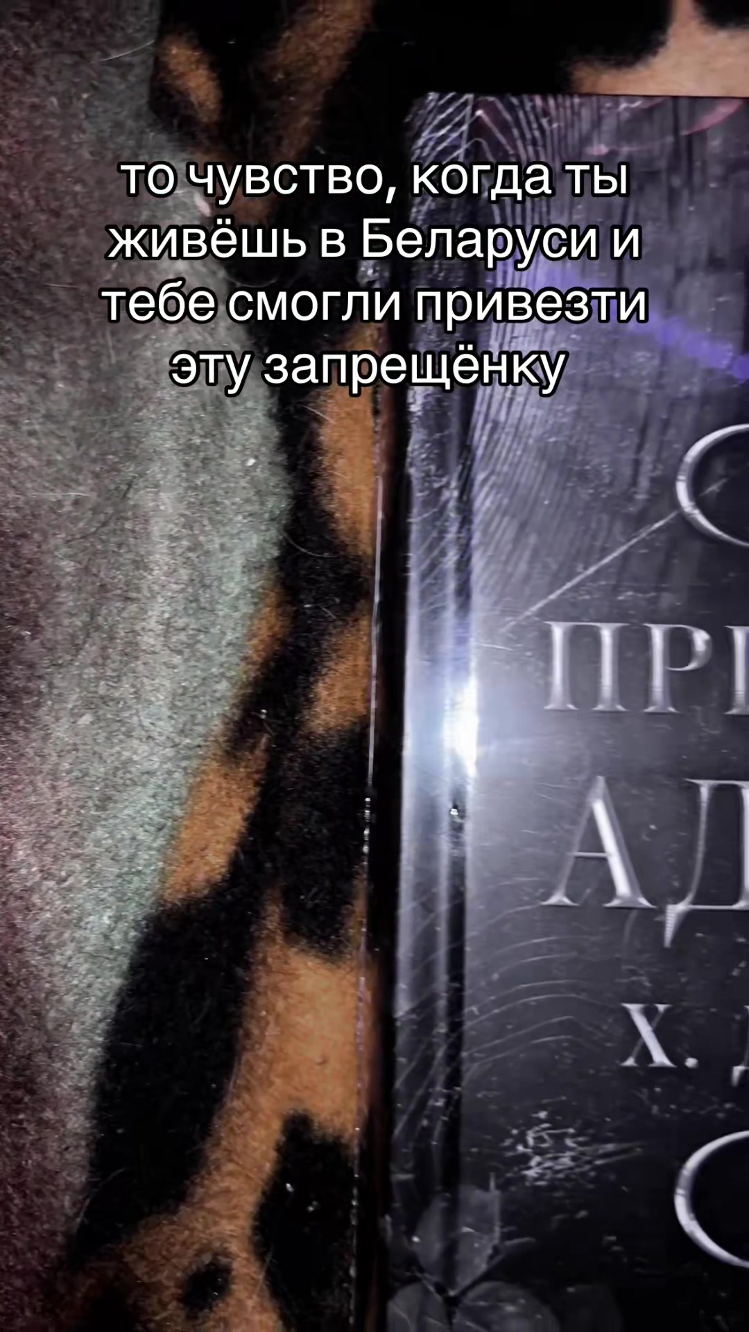 @book_is_magic