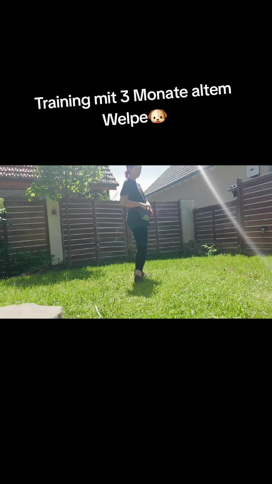 @frxnzis_live