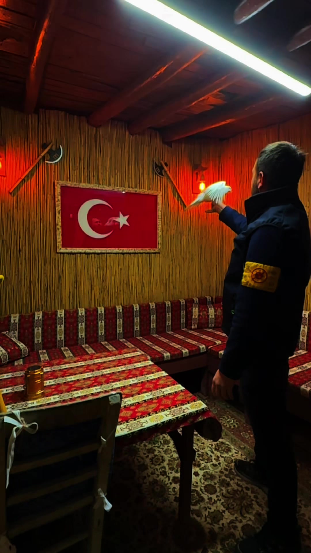 @Ali Yavuzdemir