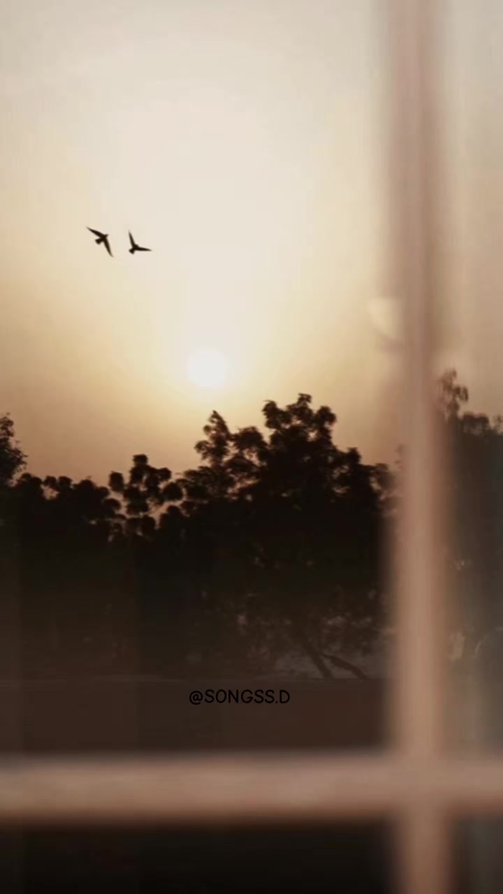 @songs S.D