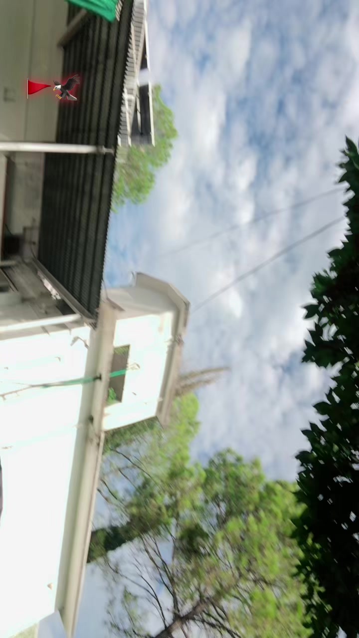 @༄³¹³❣️🇸ꭺꭱ㉿ꭺꭱ🦅