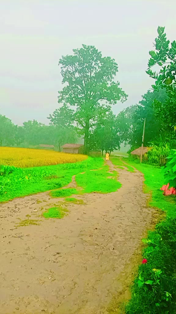 @Balkishun Yadav