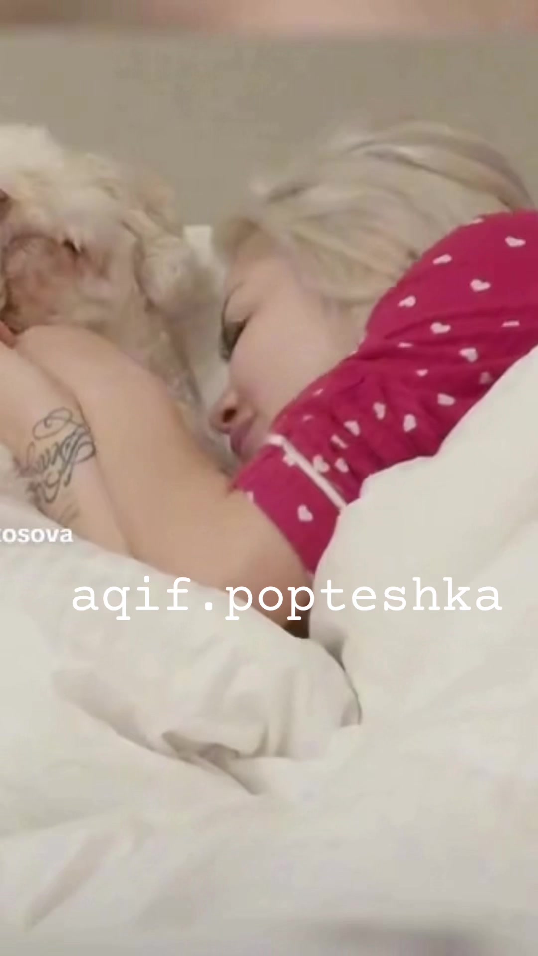 @Aqif Popteshka 🍿