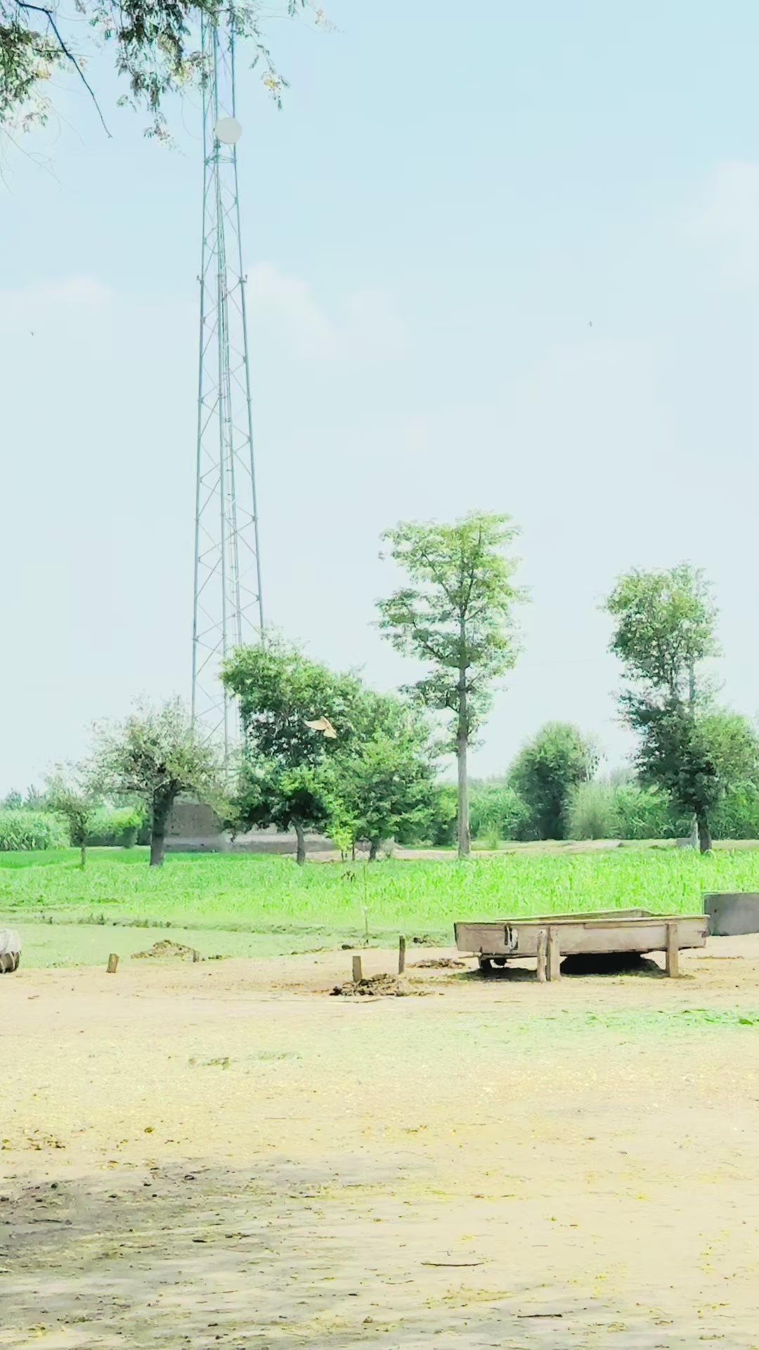@SUNNY JAPPA