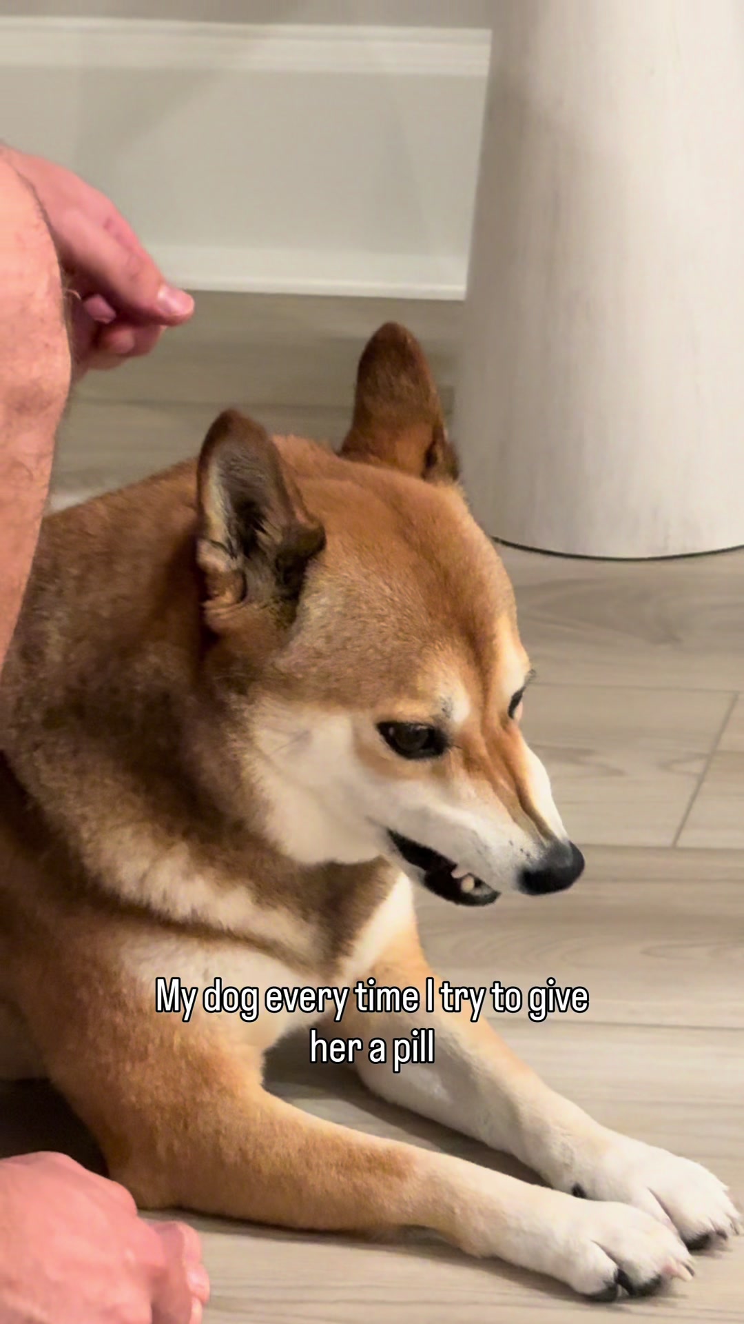 @Jessy & Lexi 🐾