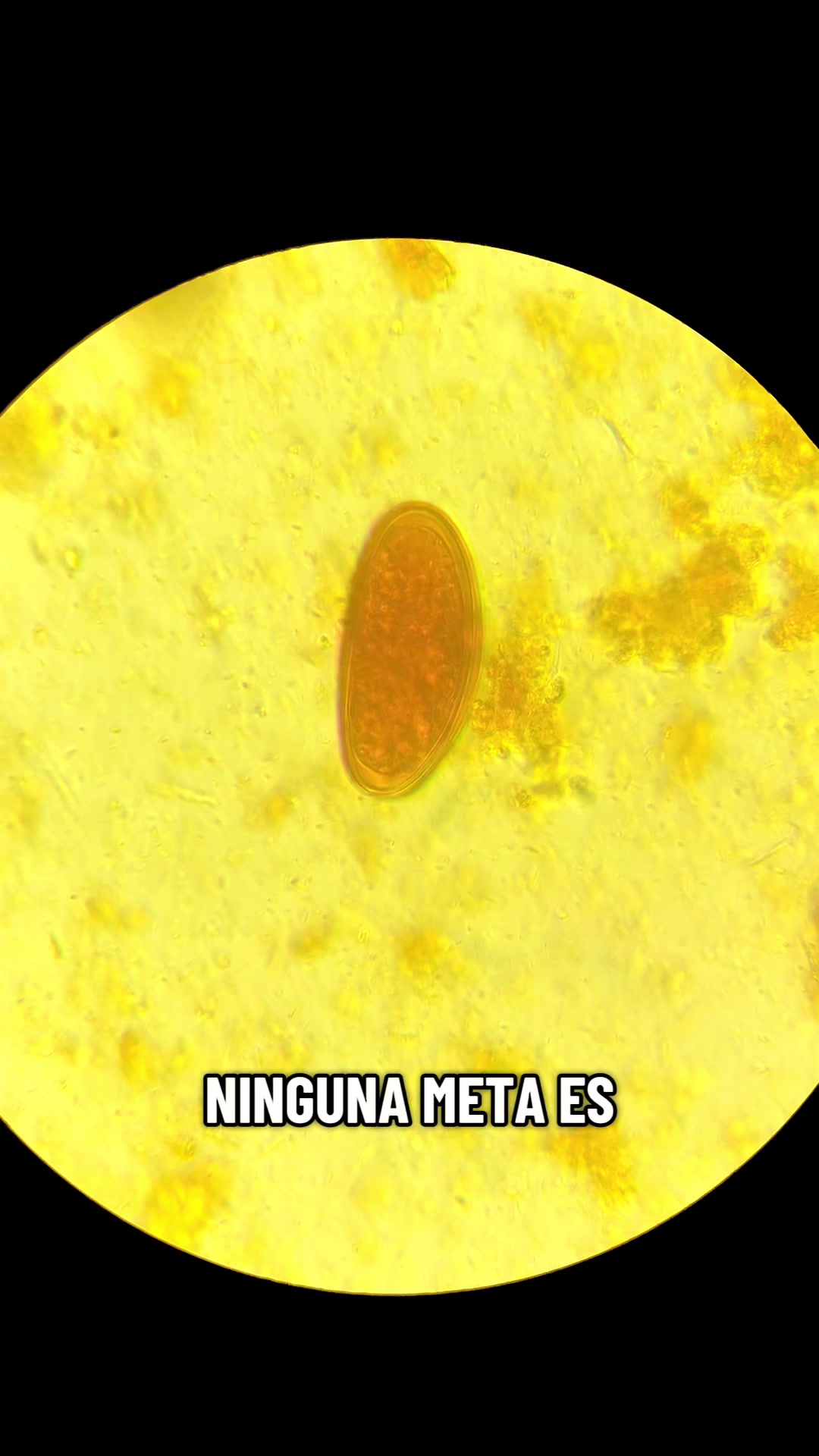 @ALab 🔬💉🩸
