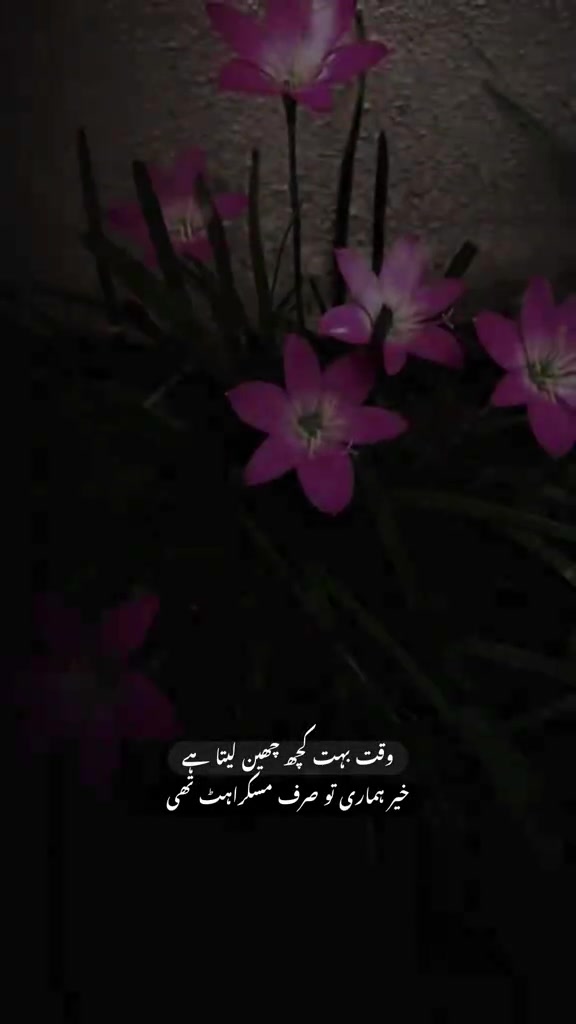@Tayyab Khan