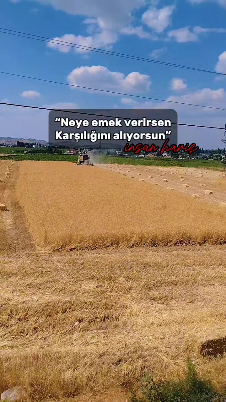 @Reyhan &ccedil;aKır🥀