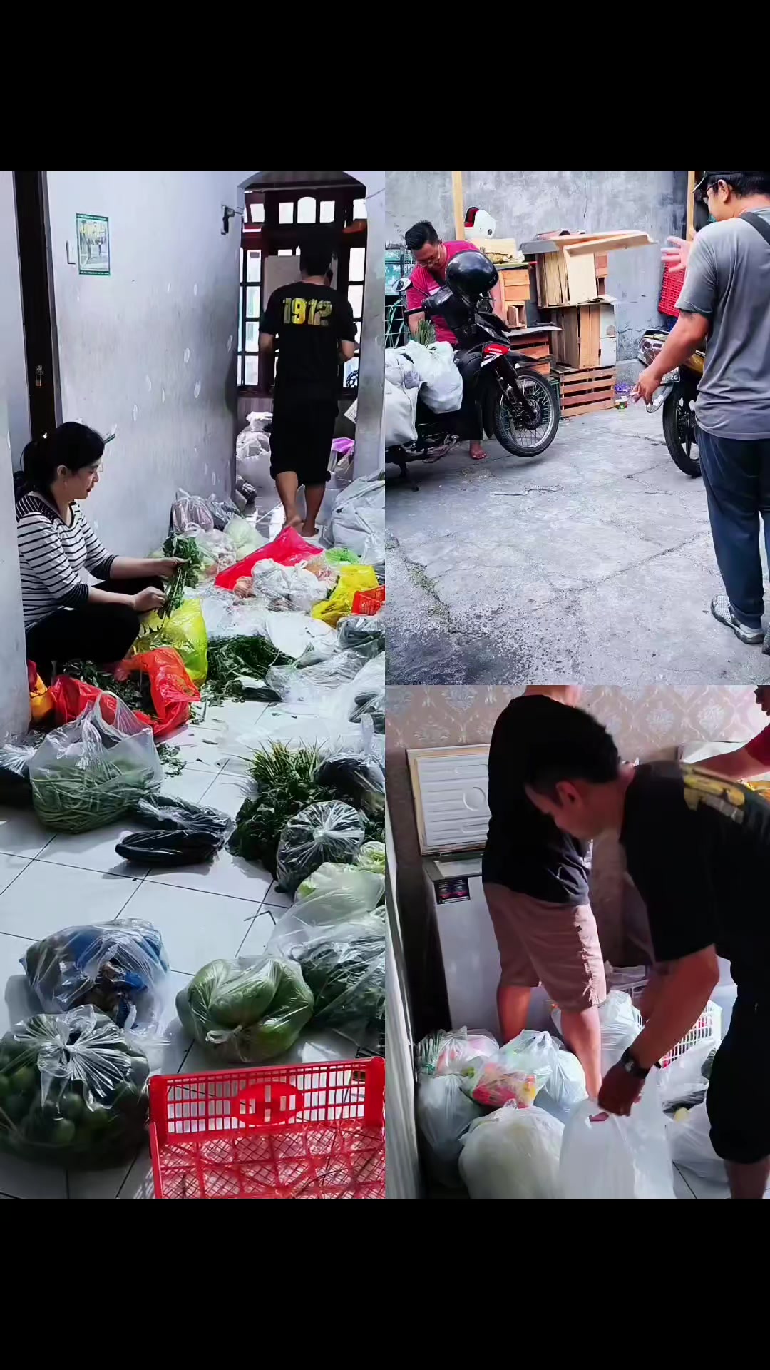 @supplier sayur dan buah sby
