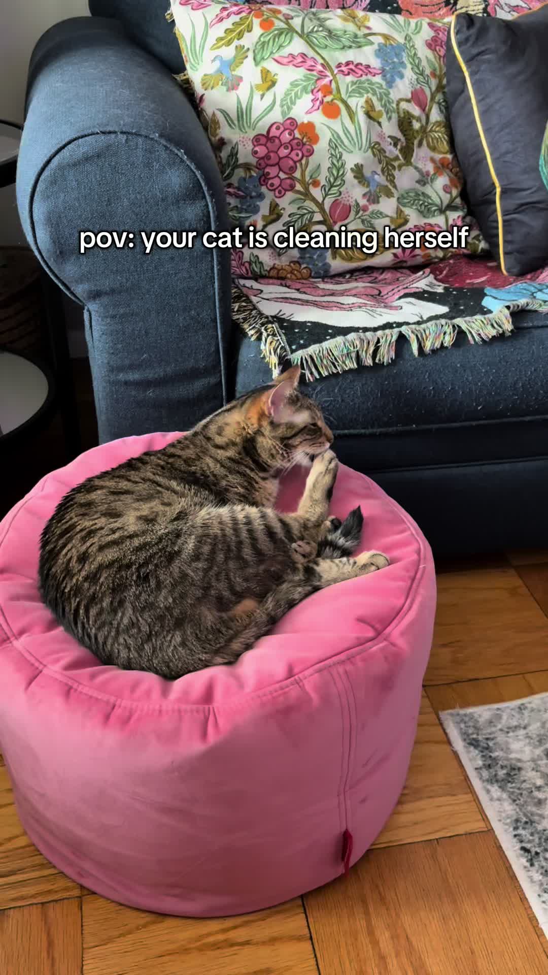 @Caroline