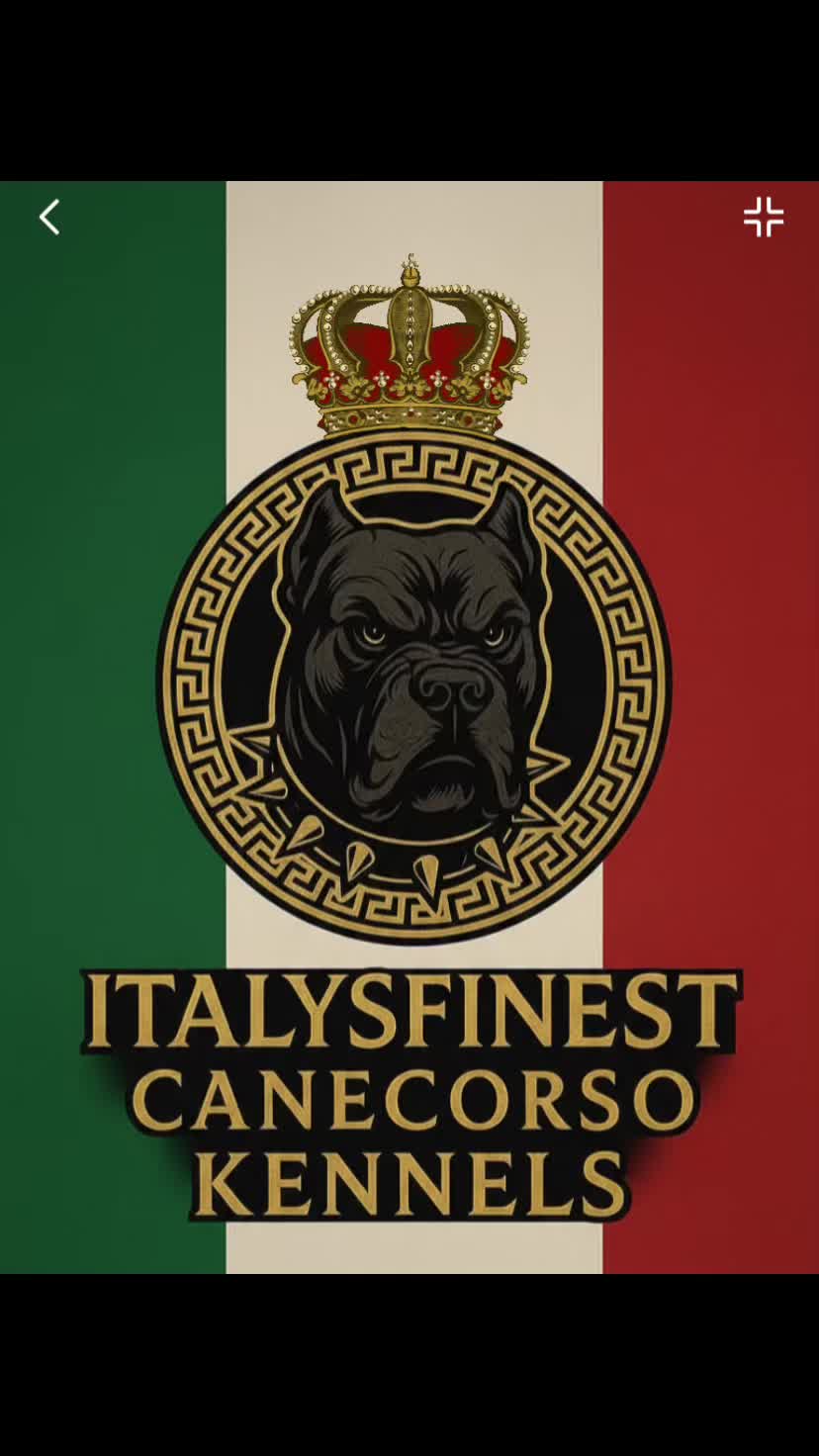 @🇮🇹ItalysFinest🏆CaneCorsos🦍