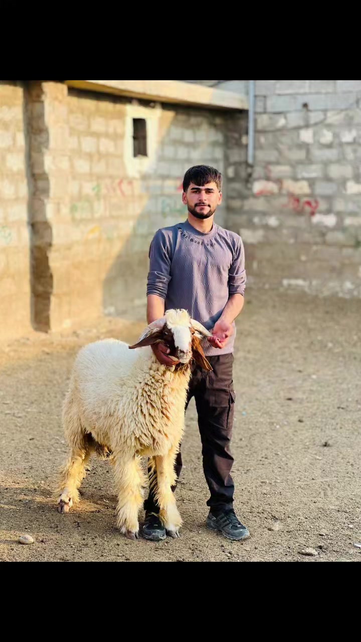 @هەڵۆچیمەنی