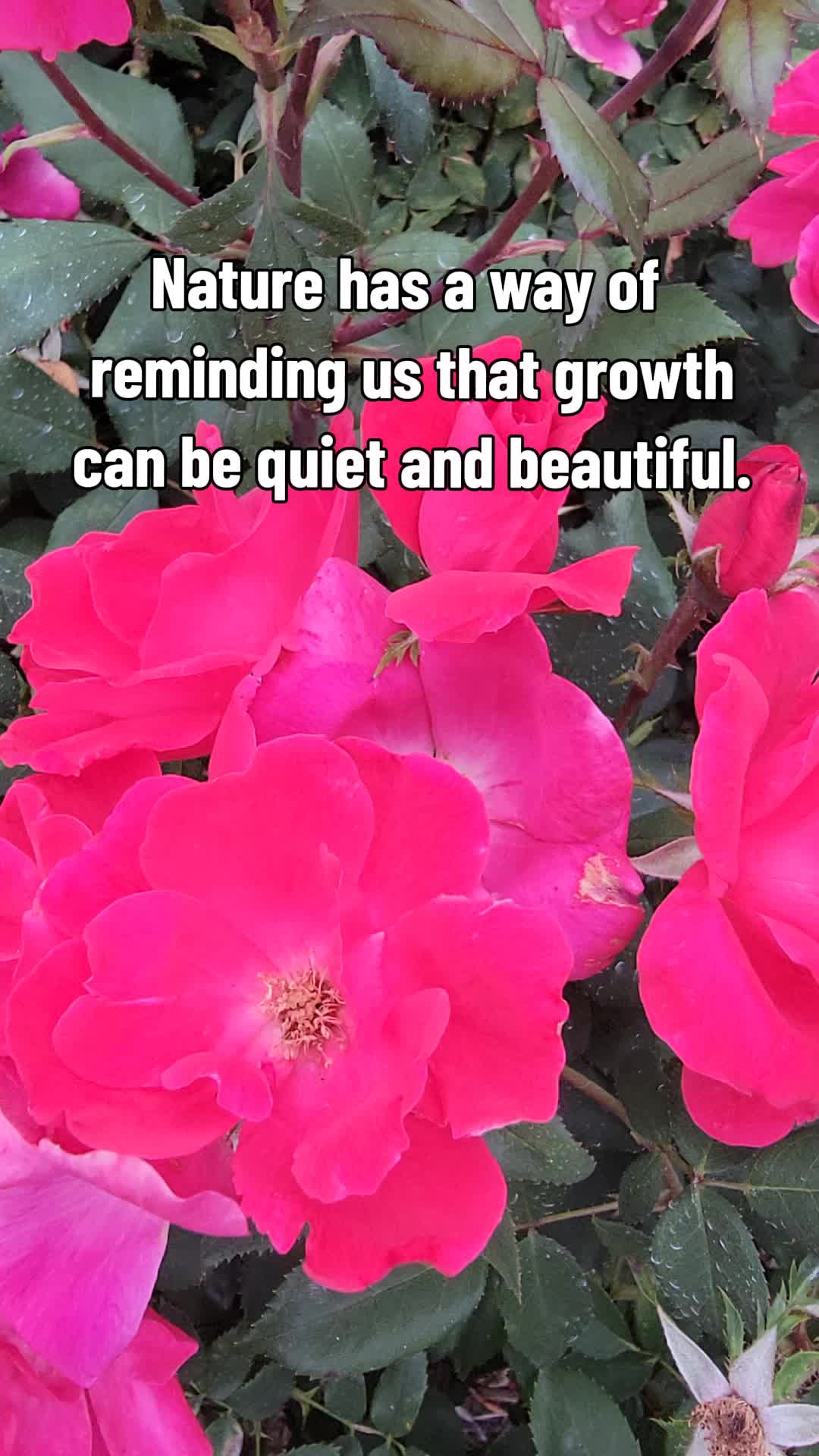 @Marsha G🌺