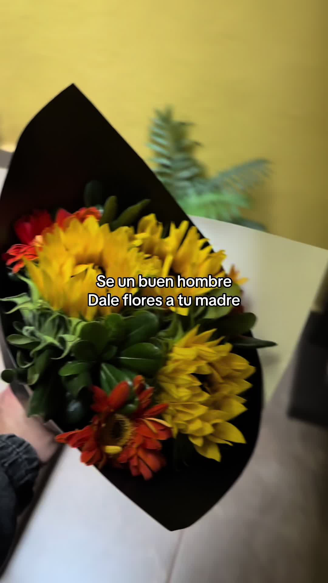 @To&ntilde;ito