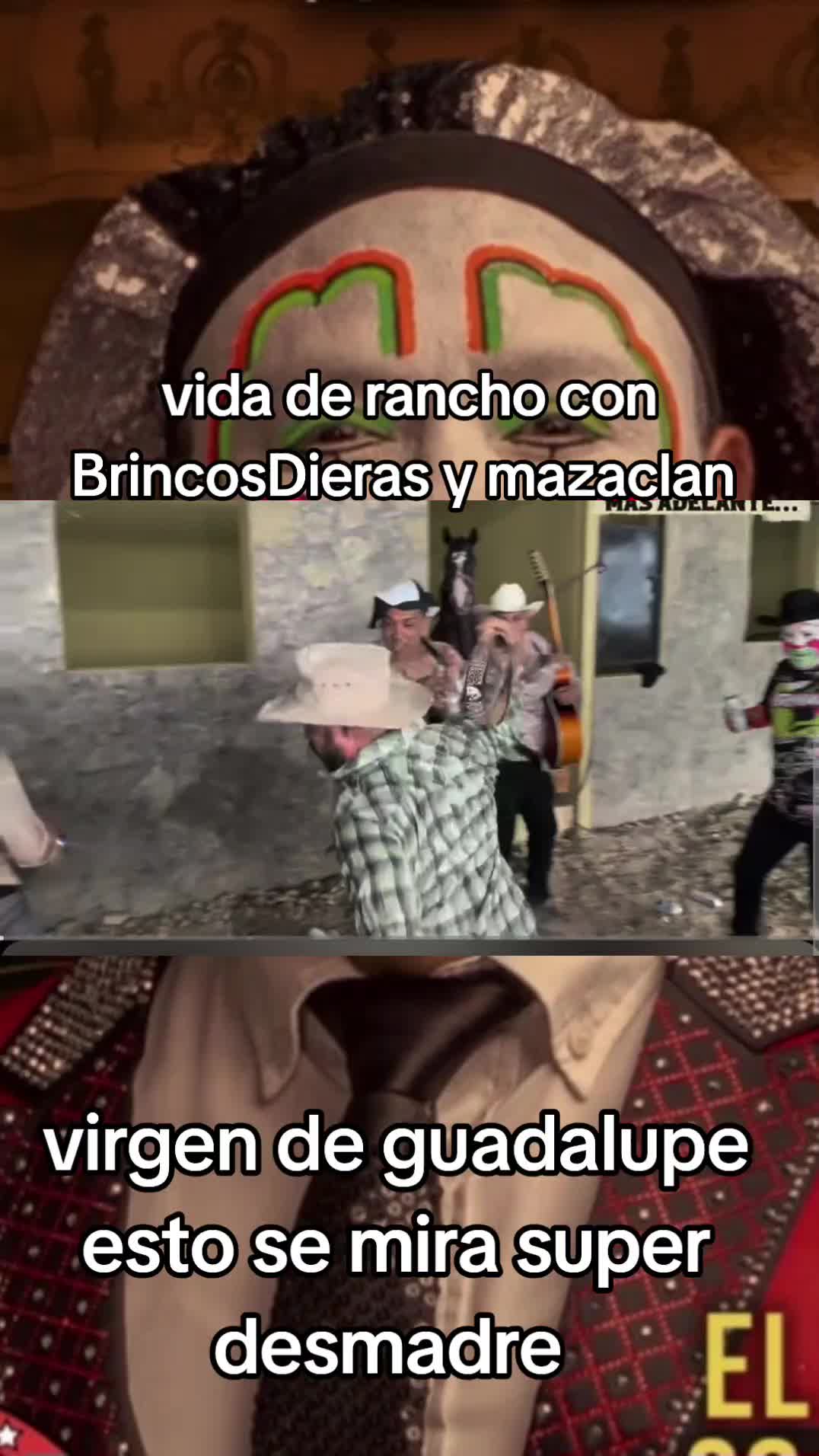 @Chismecito Suculento VIP