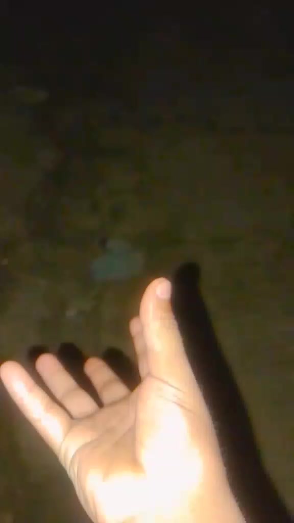 @🐦🔥notczamplays🐦🔥✅