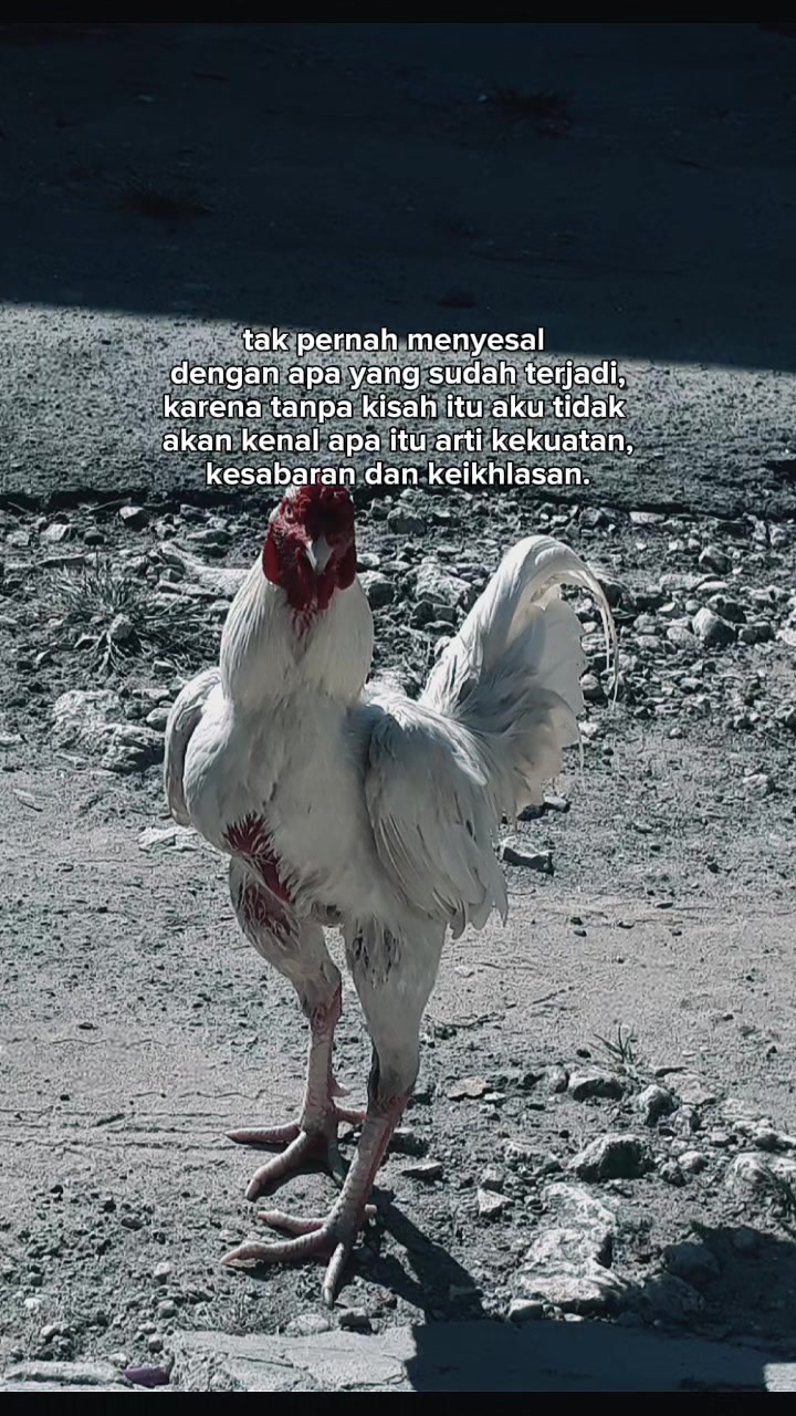 @arti _narti