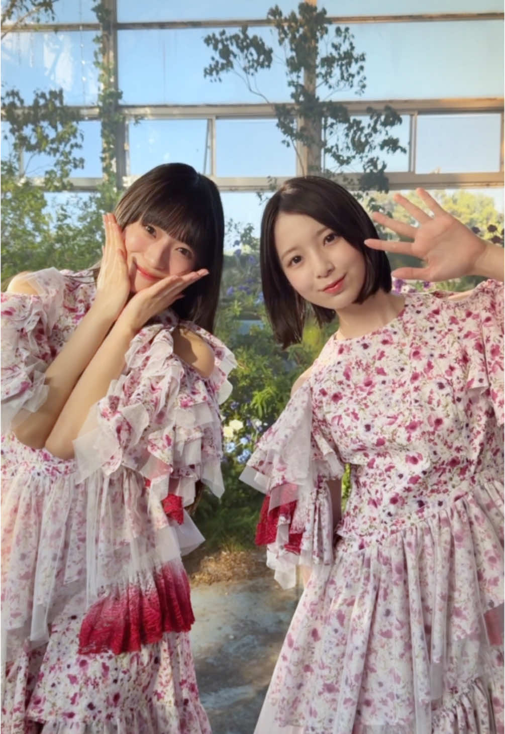 @日向坂46