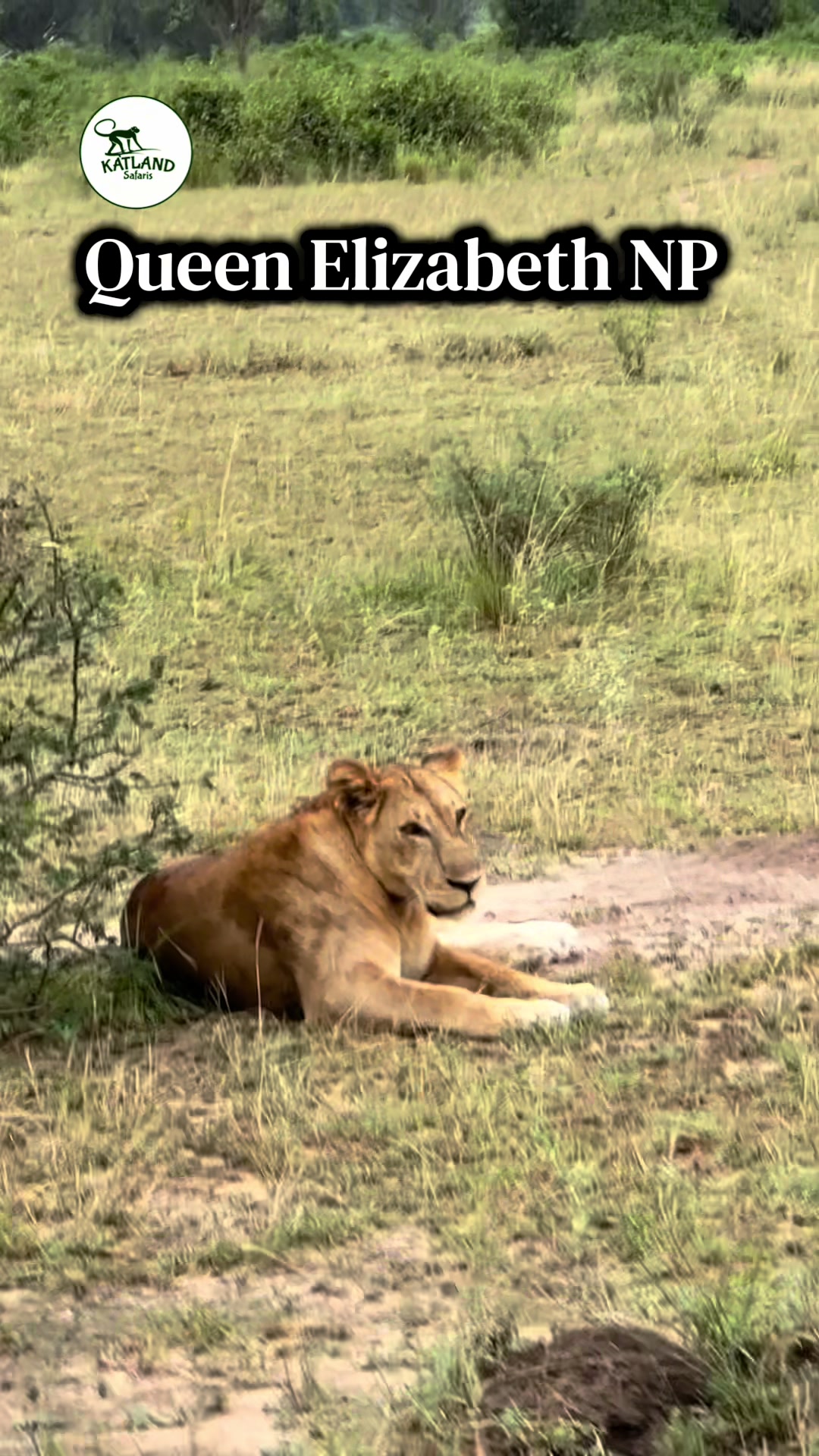 @Katland Safaris Uganda