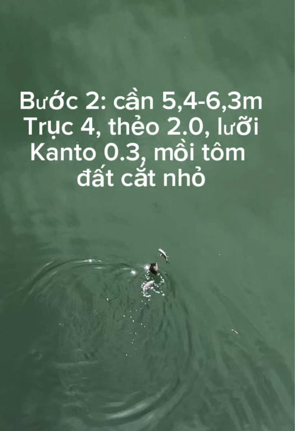 @c&acirc;u c&aacute; Nha Trang