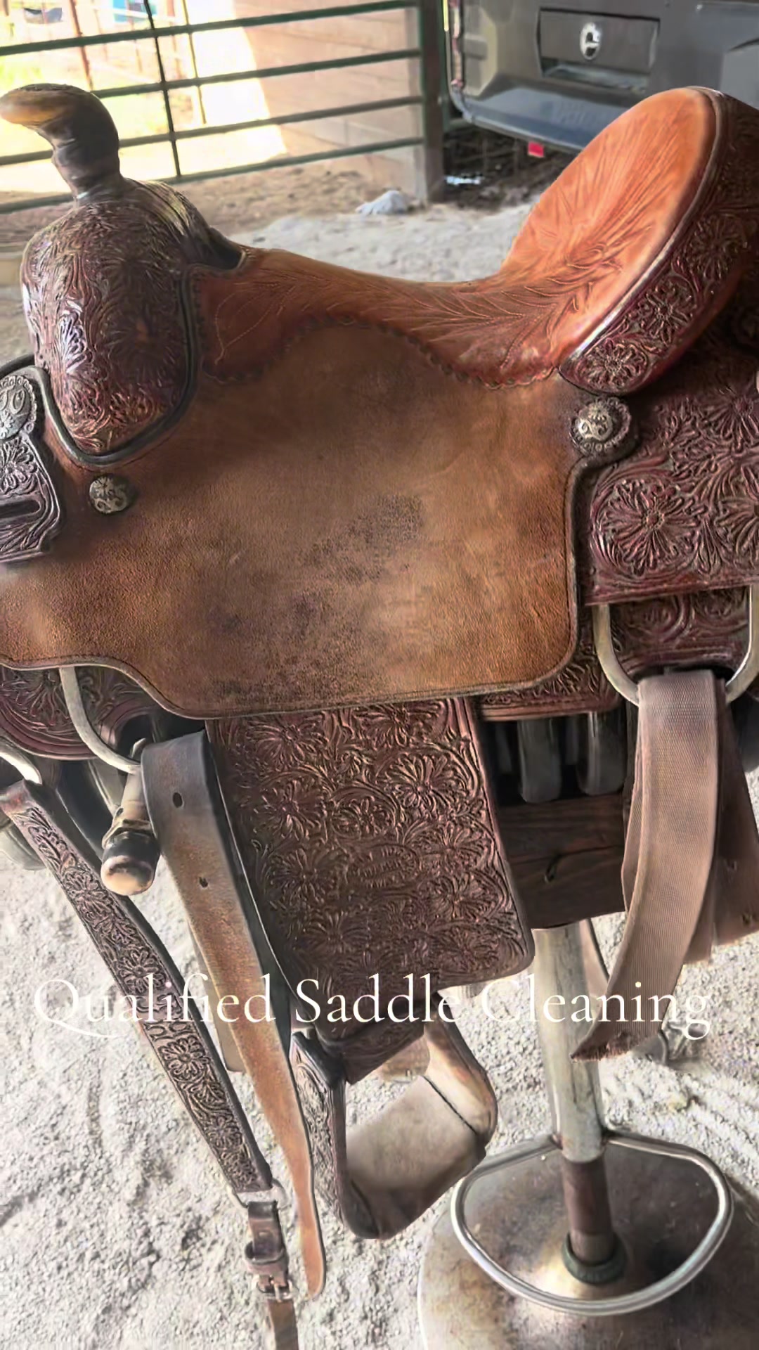 @Qualified Saddle Cleaning